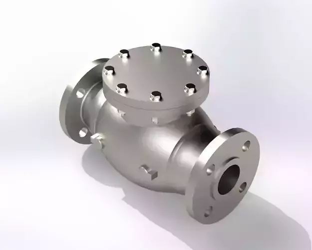 DN40 SWING CHECK VALVE