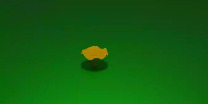  chanterelle mushroom