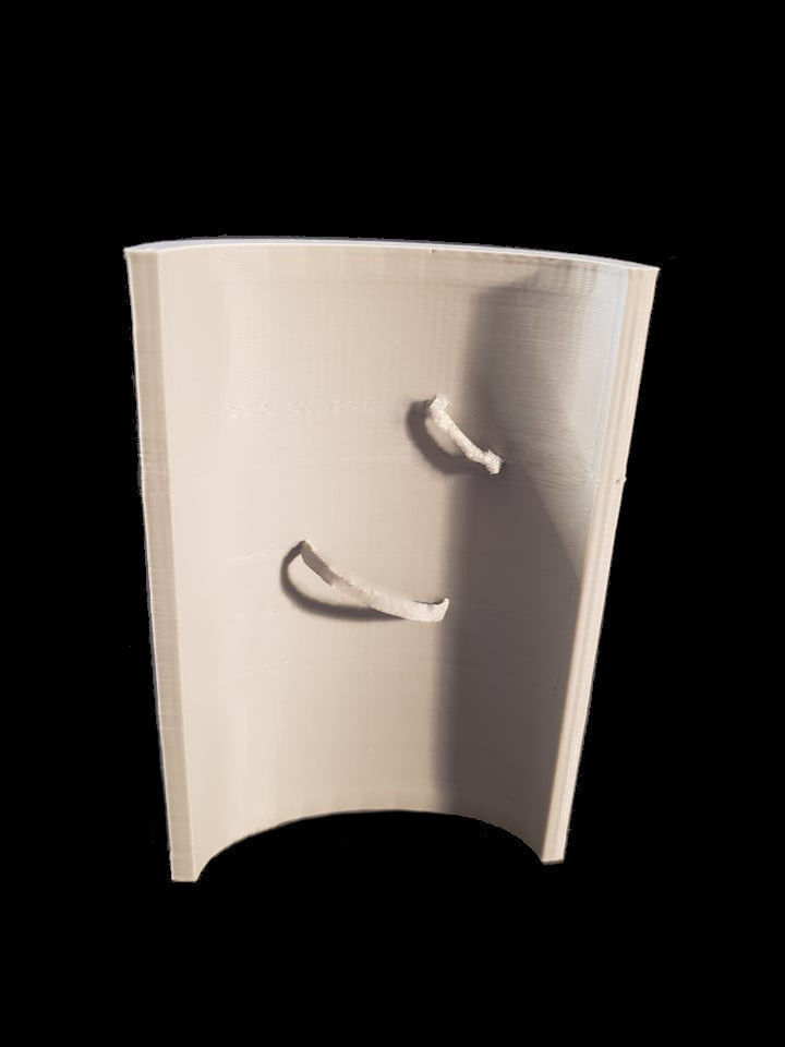 Boar Shield 3D print model_1