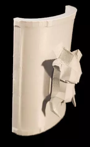 Boar Shield 3D print model_0