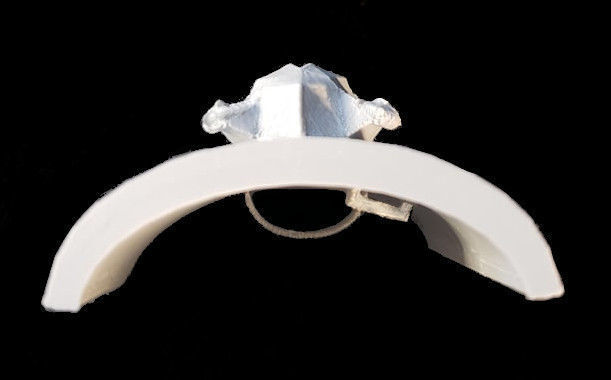 Boar Shield 3D print model_4