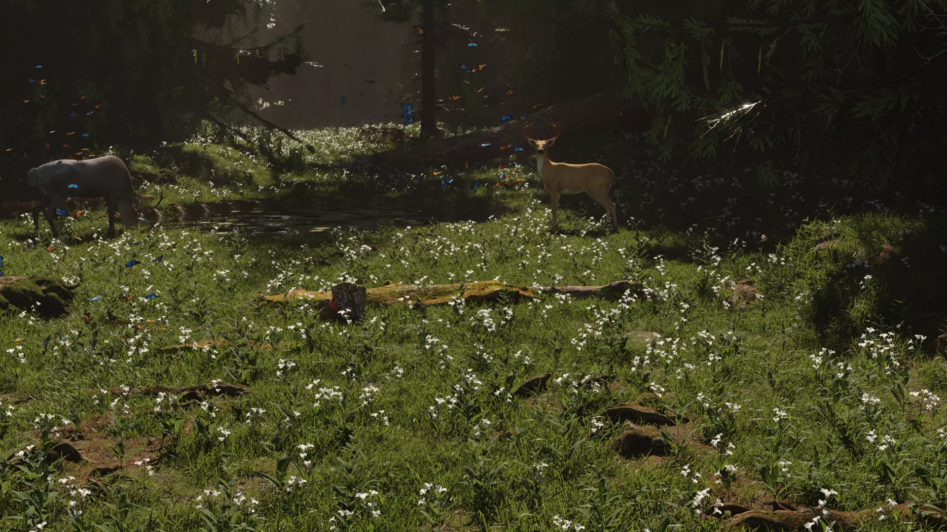 Forest Road 3D model_0