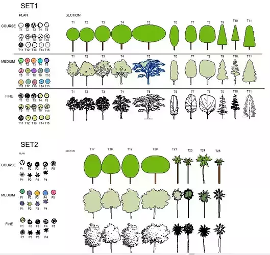 Fully Customizable Revit 2020 Tree Family 3D model