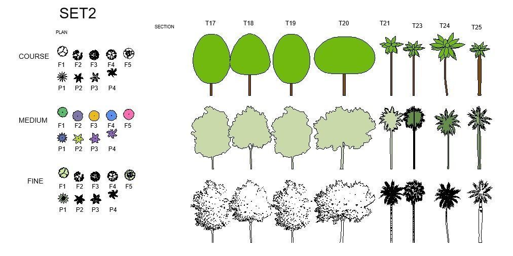 Fully Customizable Revit 2020 Tree Family 3D model_3