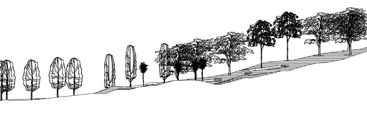 Fully Customizable Revit 2020 Tree Family 3D model_17