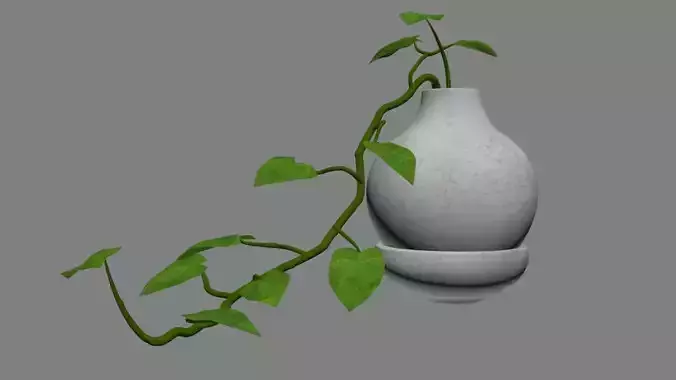 plant with pot