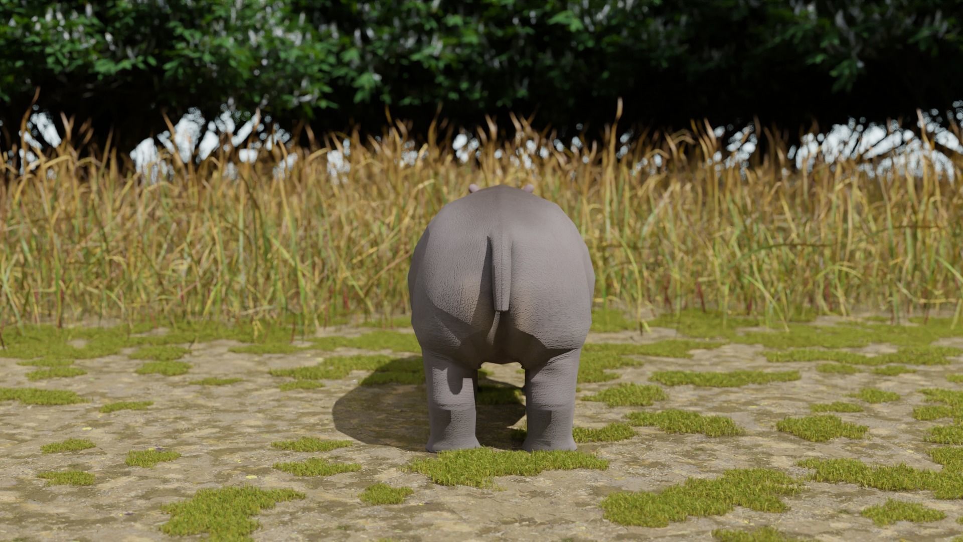 Hippo hippopotamus Low-poly 3D model_5