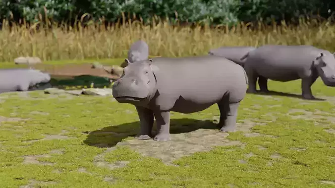 Hippo hippopotamus Low-poly 3D model
