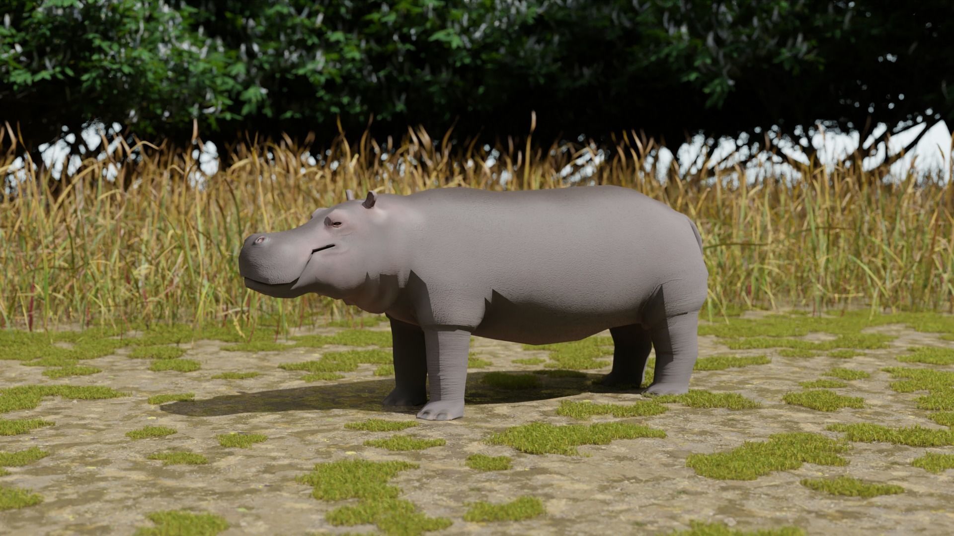 Hippo hippopotamus Low-poly 3D model_2