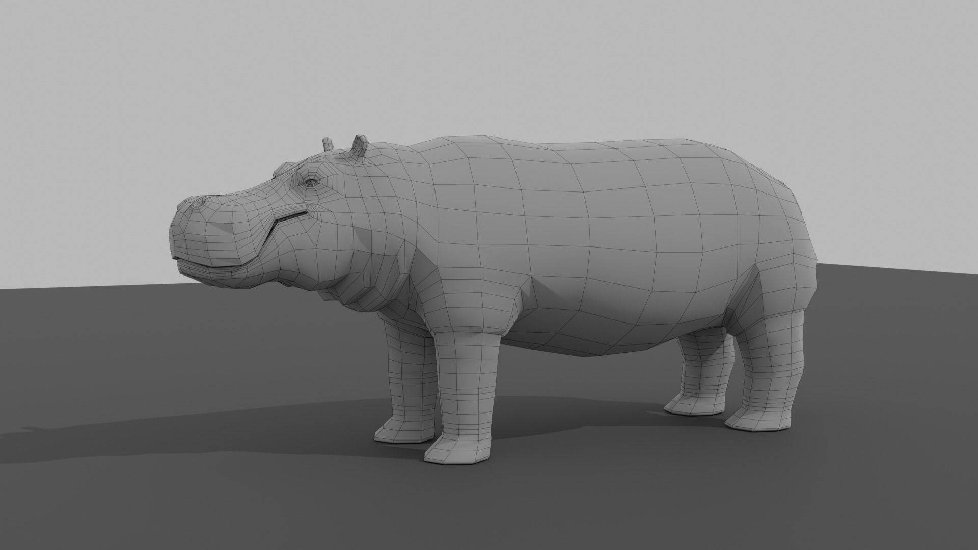 Hippo hippopotamus Low-poly 3D model_11