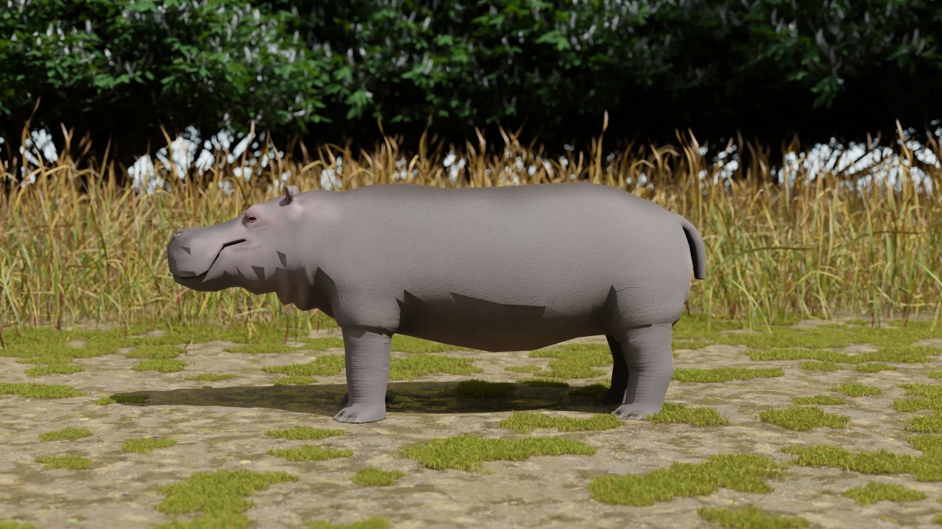 Hippo hippopotamus Low-poly 3D model_4