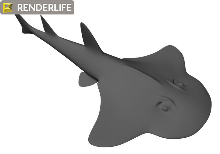 Angel Shark with animation 3D model_4