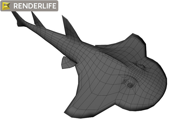Angel Shark with animation 3D model_1