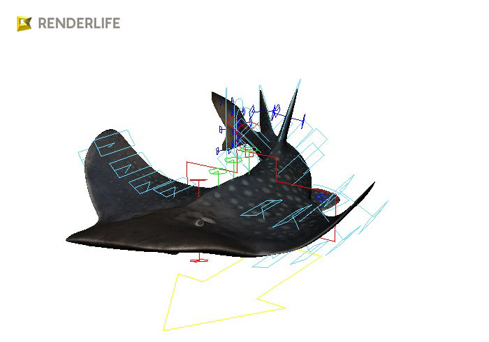 Angel Shark with animation 3D model_10