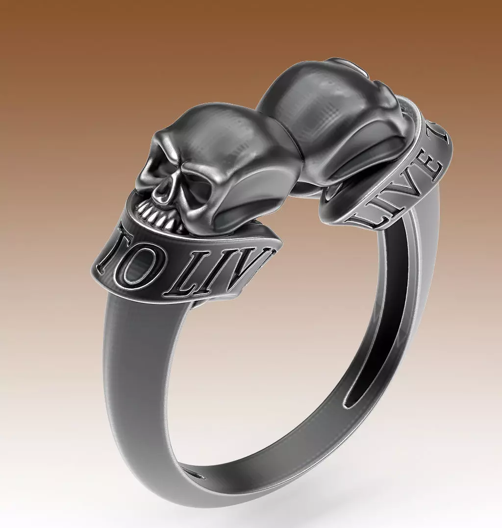 Ring Rider 3D print model