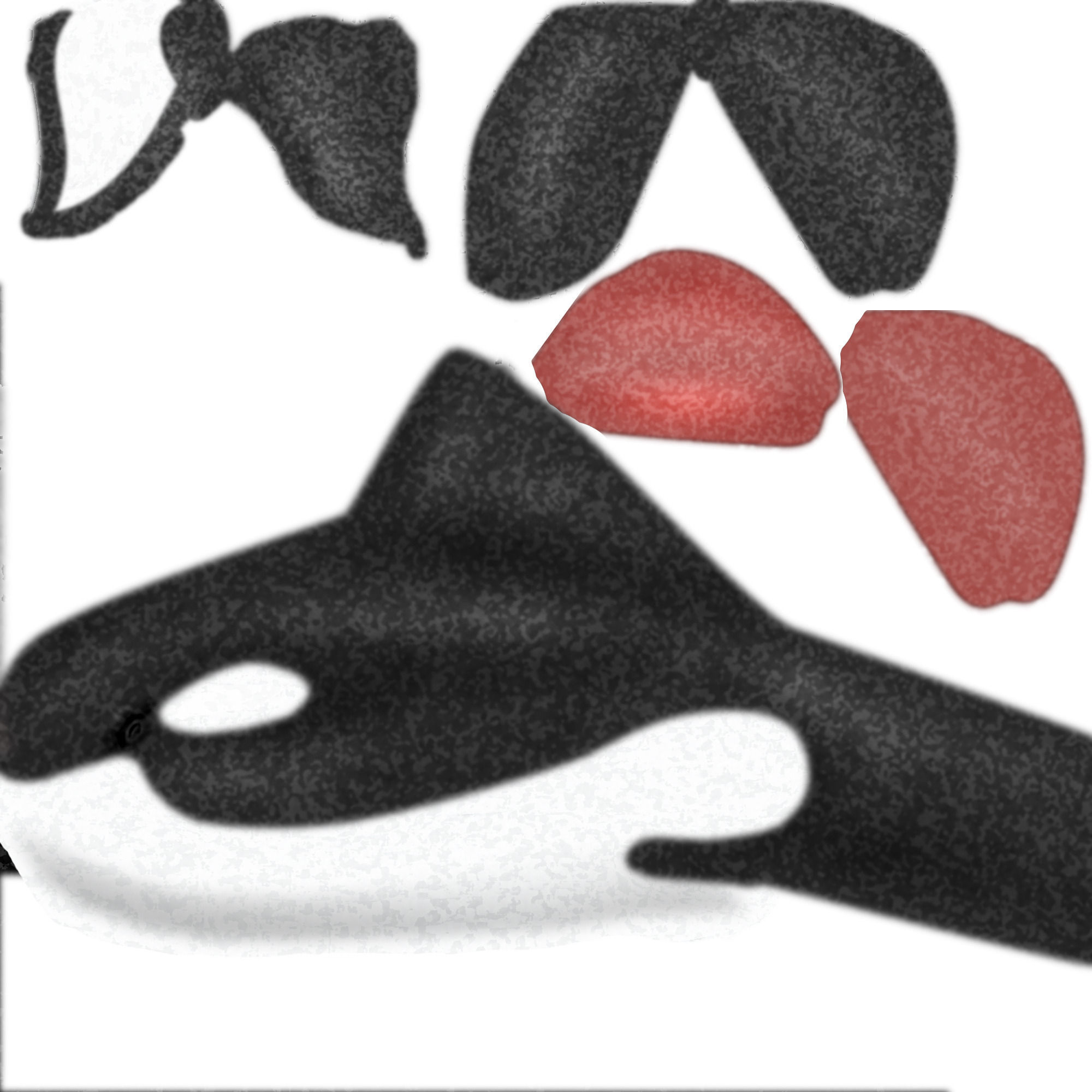 Killer Whale 3D model_7