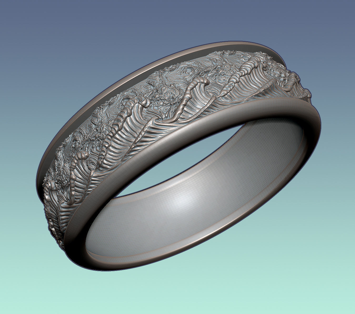 Ring Heavy Storm 3D print model_1