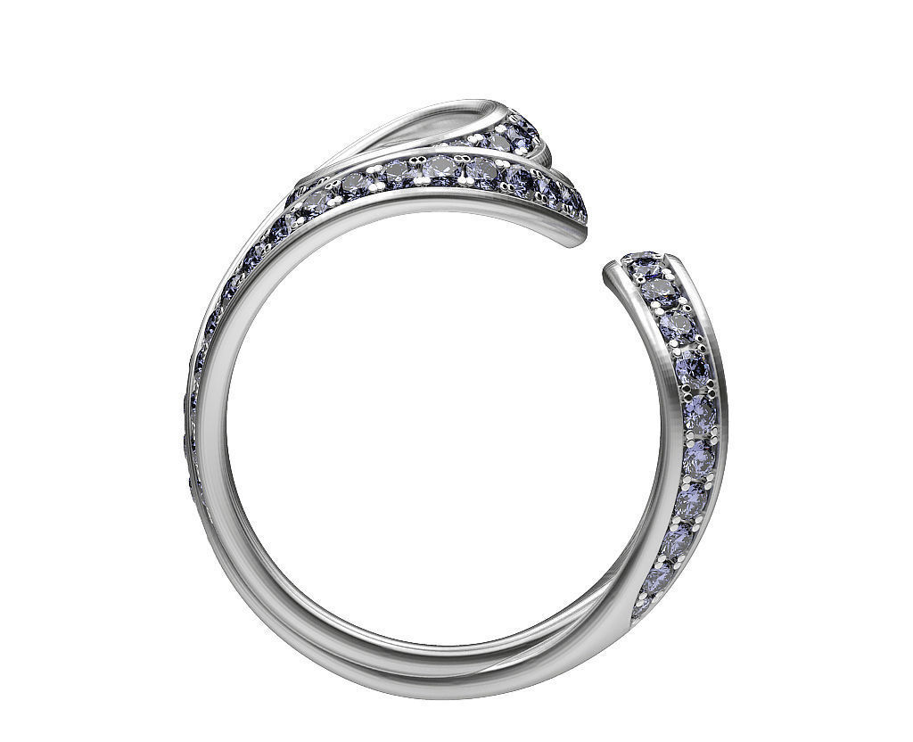 Ring Plexus 3D print model_3