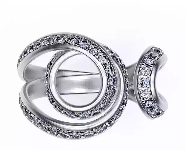 Ring Plexus 3D print model