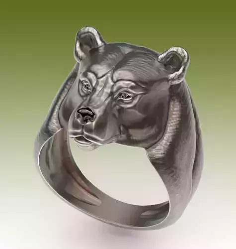Ring Bear