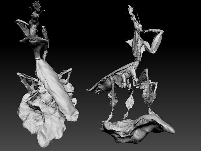 Ghostmantis 3D Model gold mantis 3D print model