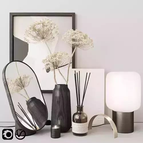 Decor set with heracleum