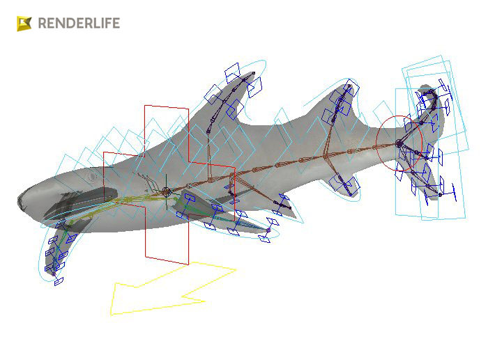 Reef shark with animations 3D model_5