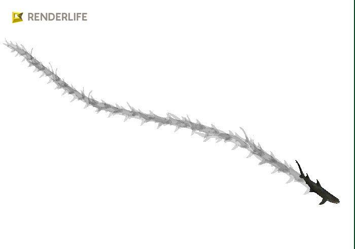 Reef shark with animations 3D model_6