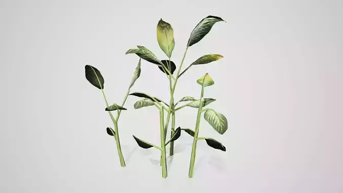 Tropical Snow Cluster Bush Low-poly 3D model