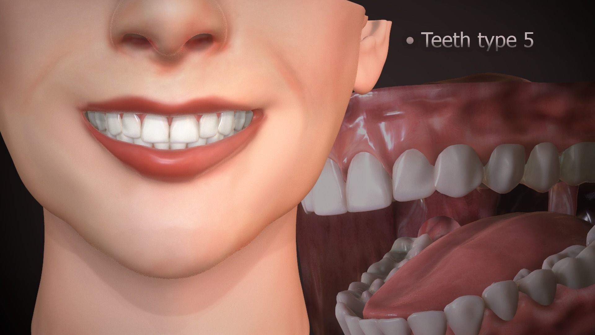 Great Teeth Collection - Mouth for character Low-poly 3D model_28
