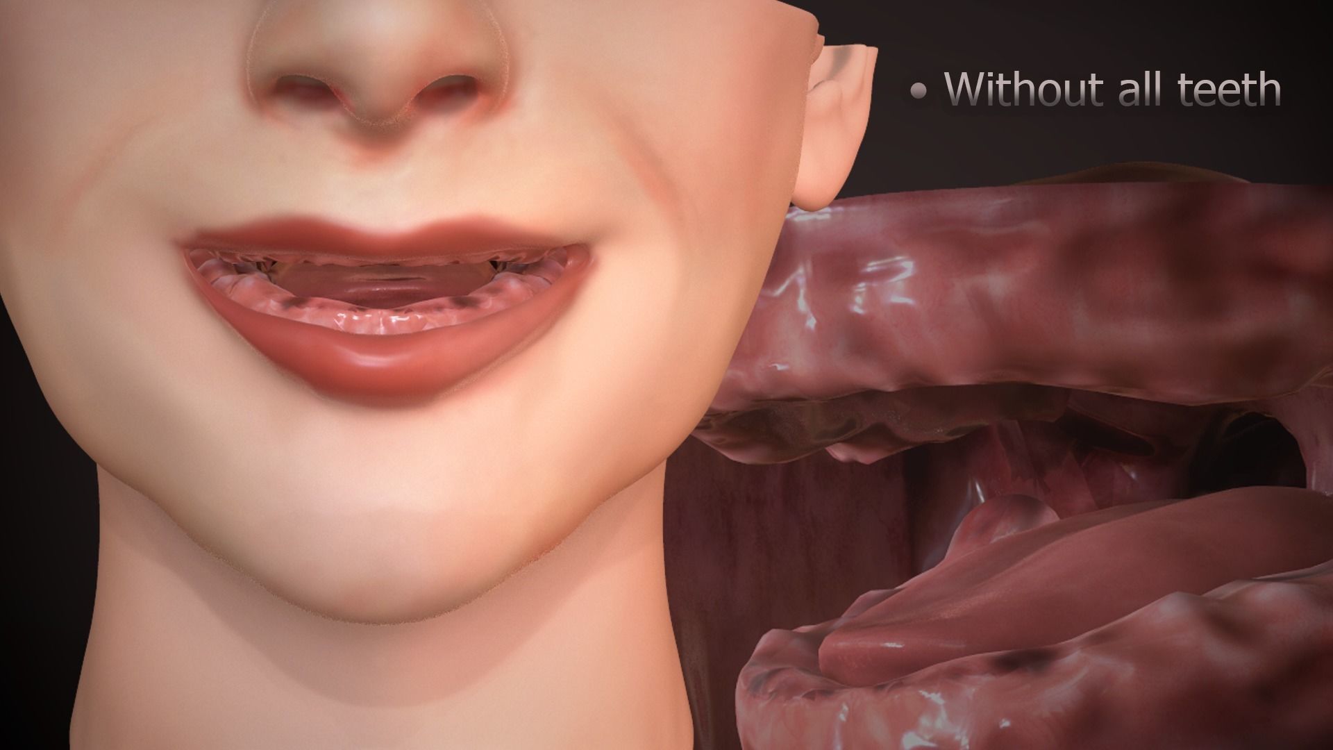 Great Teeth Collection - Mouth for character Low-poly 3D model_31