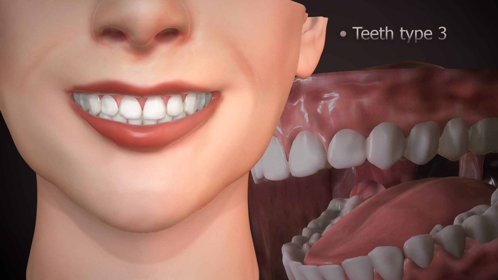 Great Teeth Collection - Mouth for character Low-poly 3D model_18
