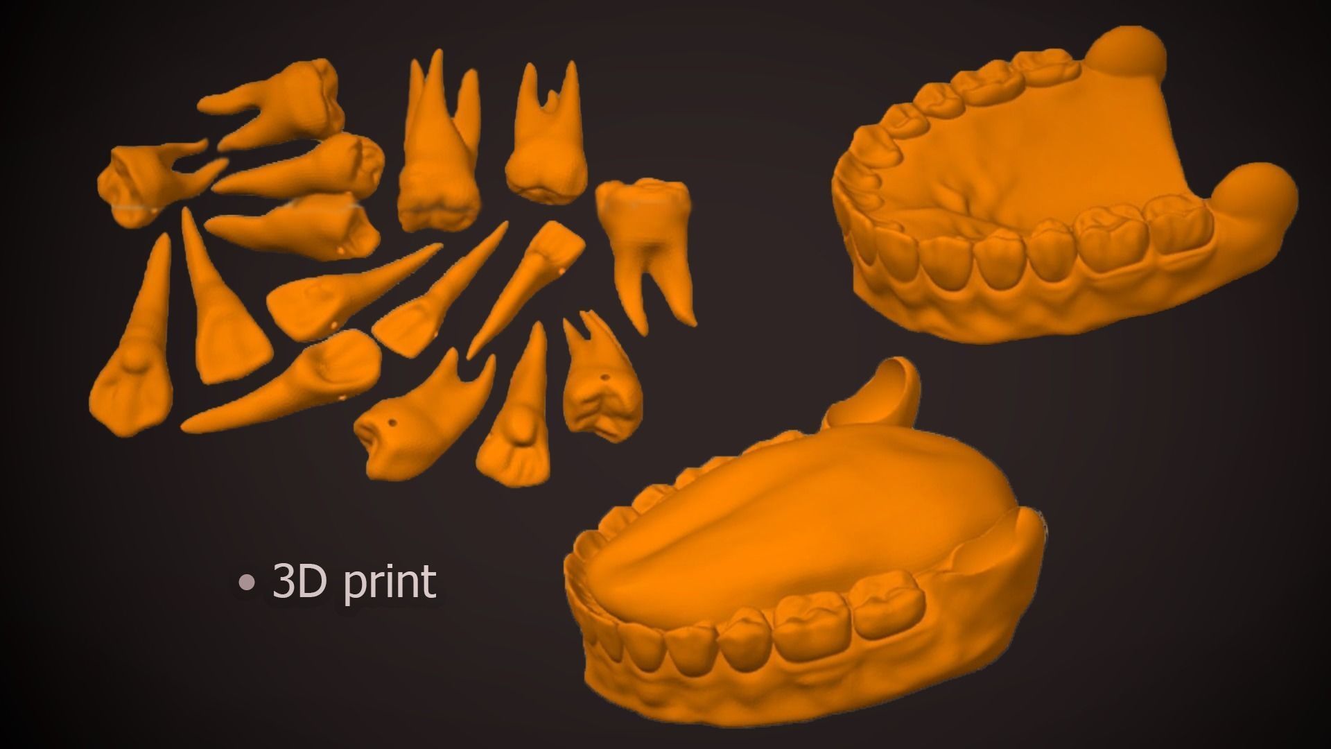 Great Teeth Collection - Mouth for character Low-poly 3D model_36
