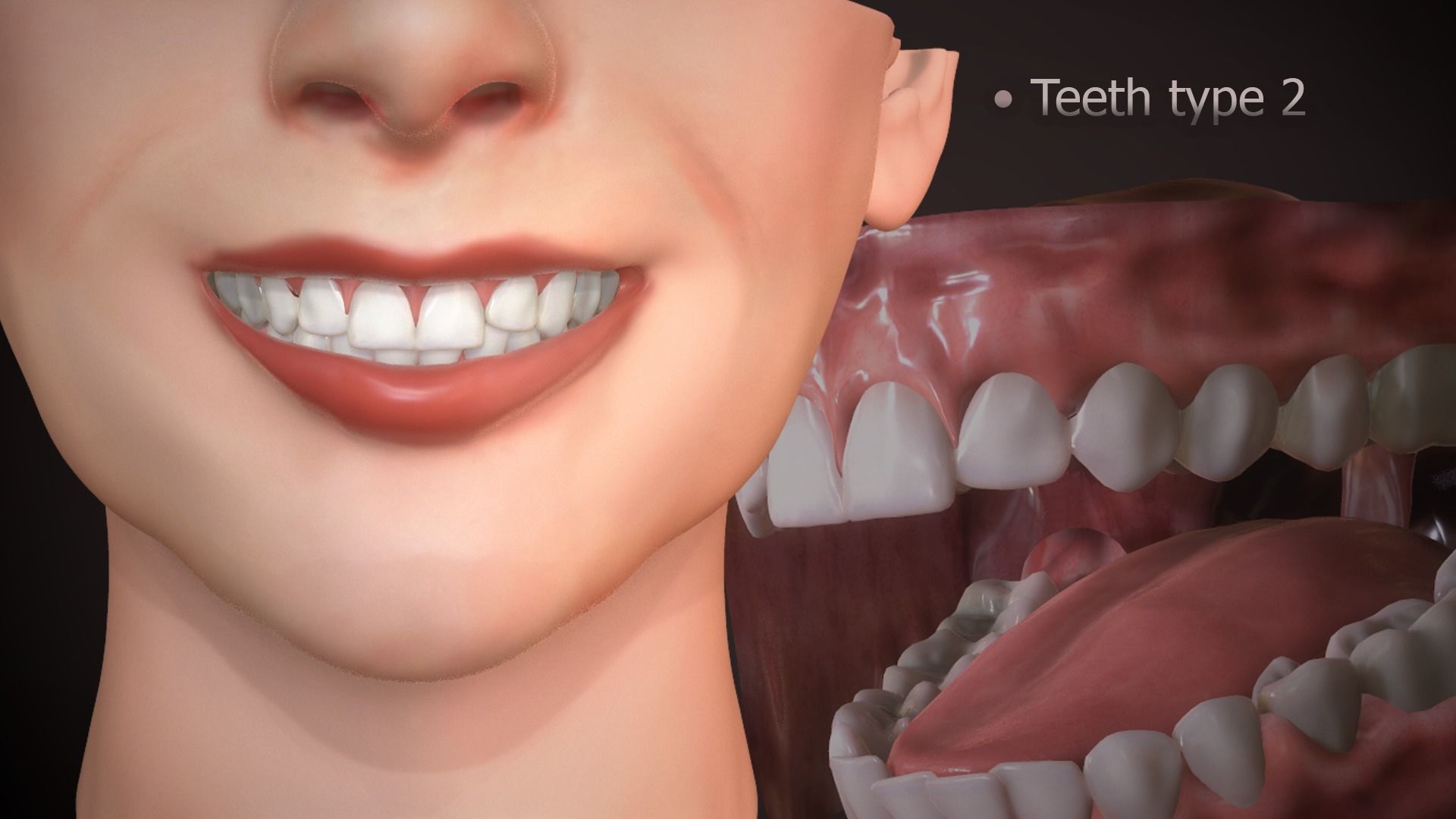 Great Teeth Collection - Mouth for character Low-poly 3D model_13