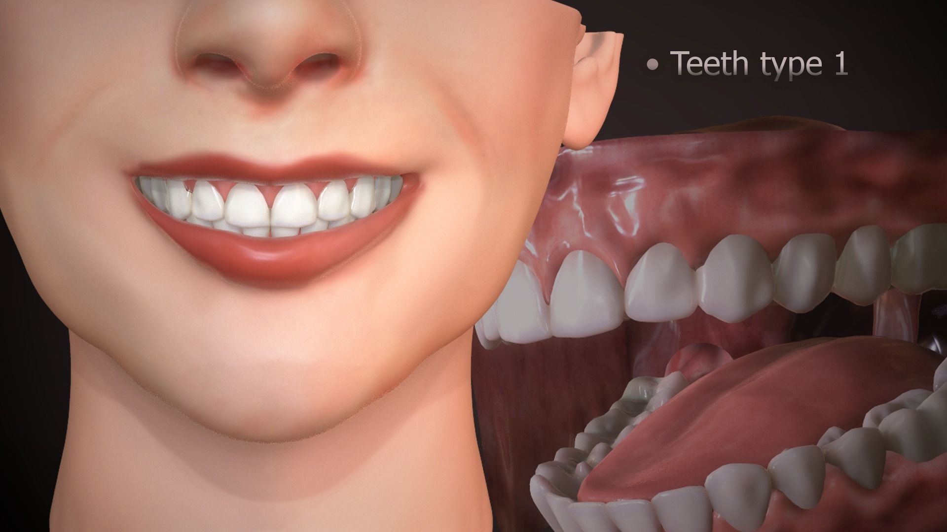 Great Teeth Collection - Mouth for character Low-poly 3D model_3