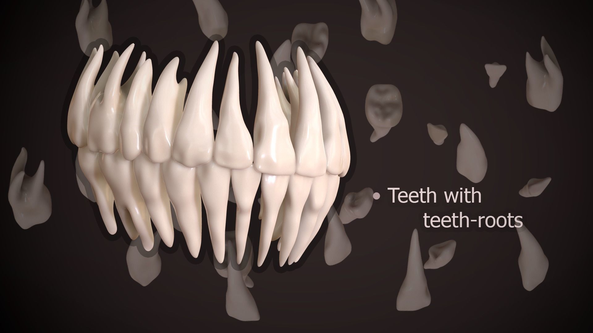 Great Teeth Collection - Mouth for character Low-poly 3D model_35