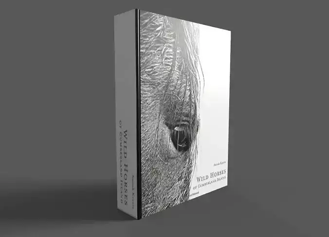 Wild Horses of Cumberland Island Hardcover Book Low-poly 3D model