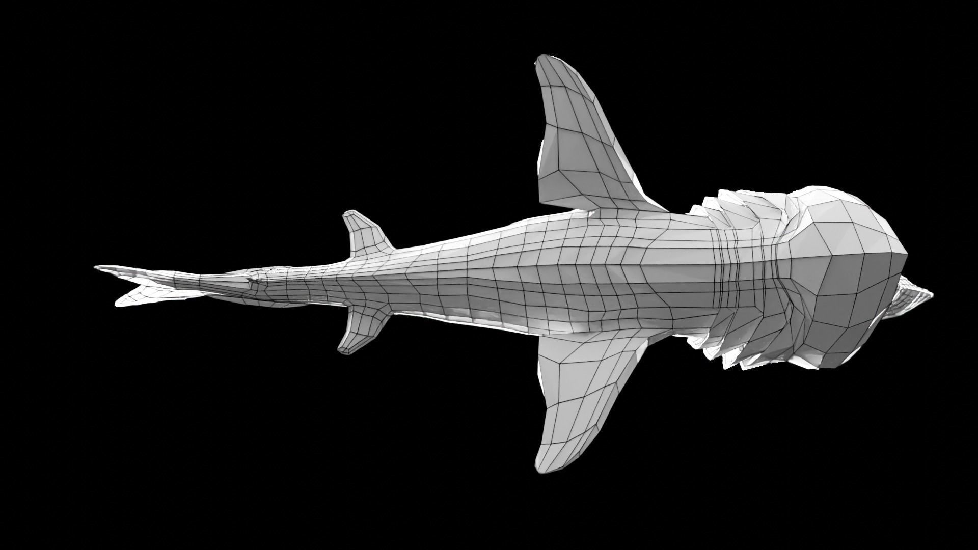 Lowpoly Basking Shark Low-poly 3D model_20