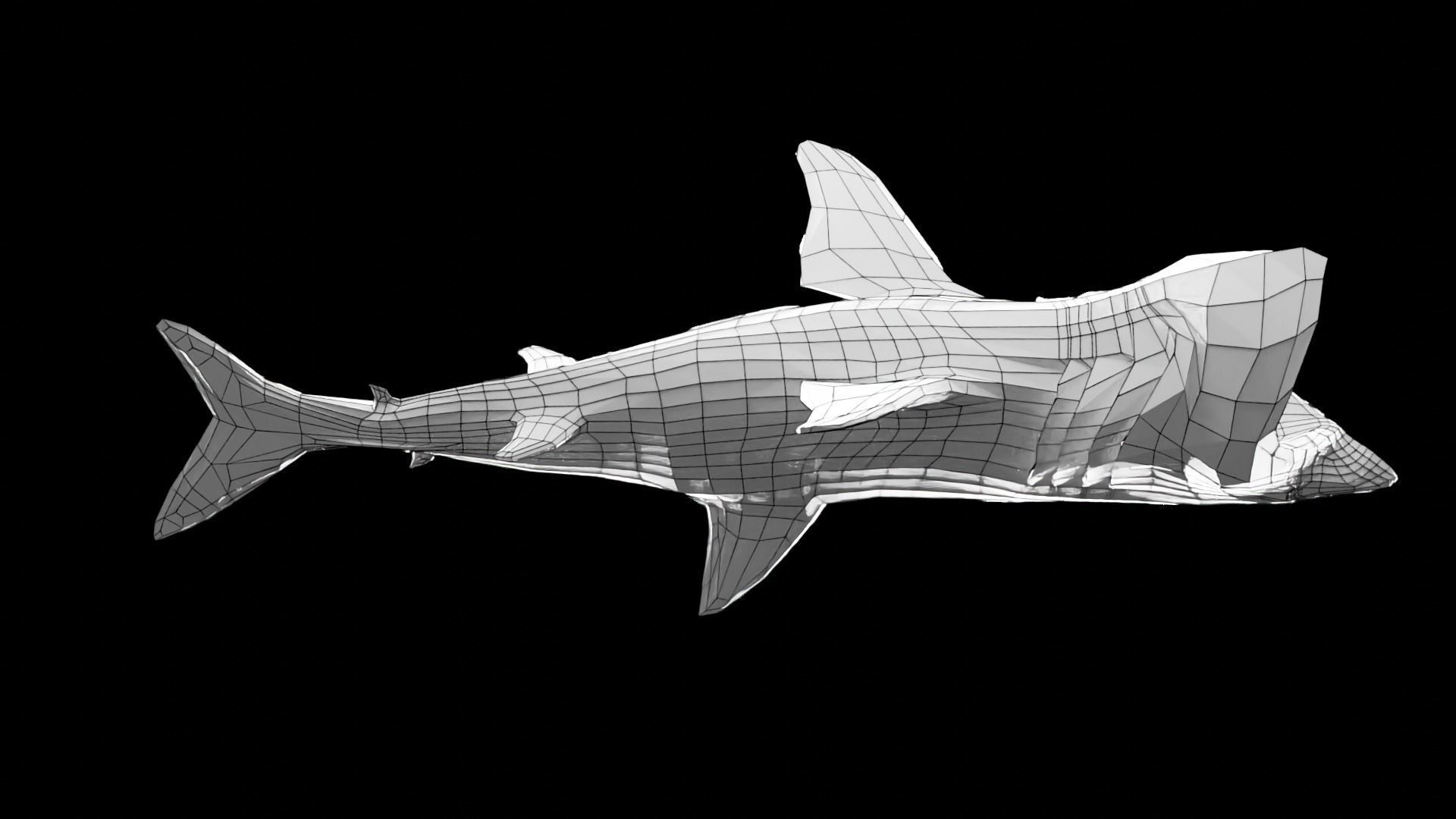 Lowpoly Basking Shark Low-poly 3D model_15