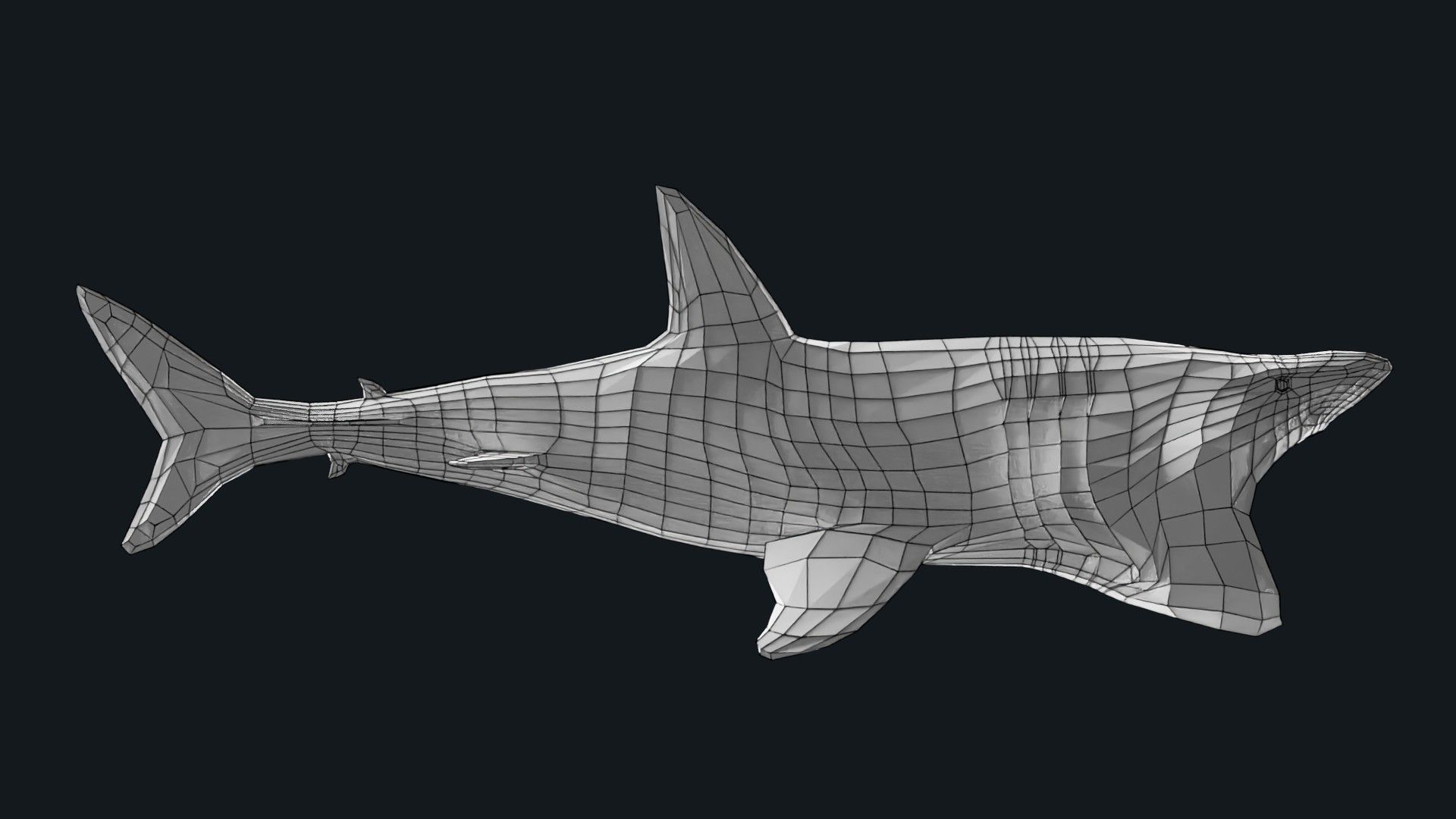 Lowpoly Basking Shark Low-poly 3D model_5