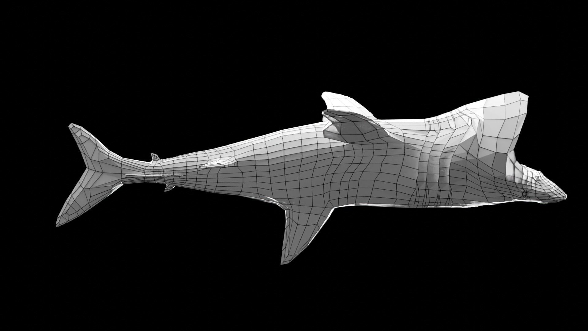 Lowpoly Basking Shark Low-poly 3D model_17