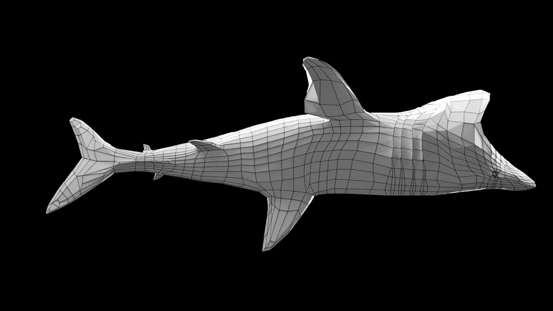 Lowpoly Basking Shark Low-poly 3D model_8