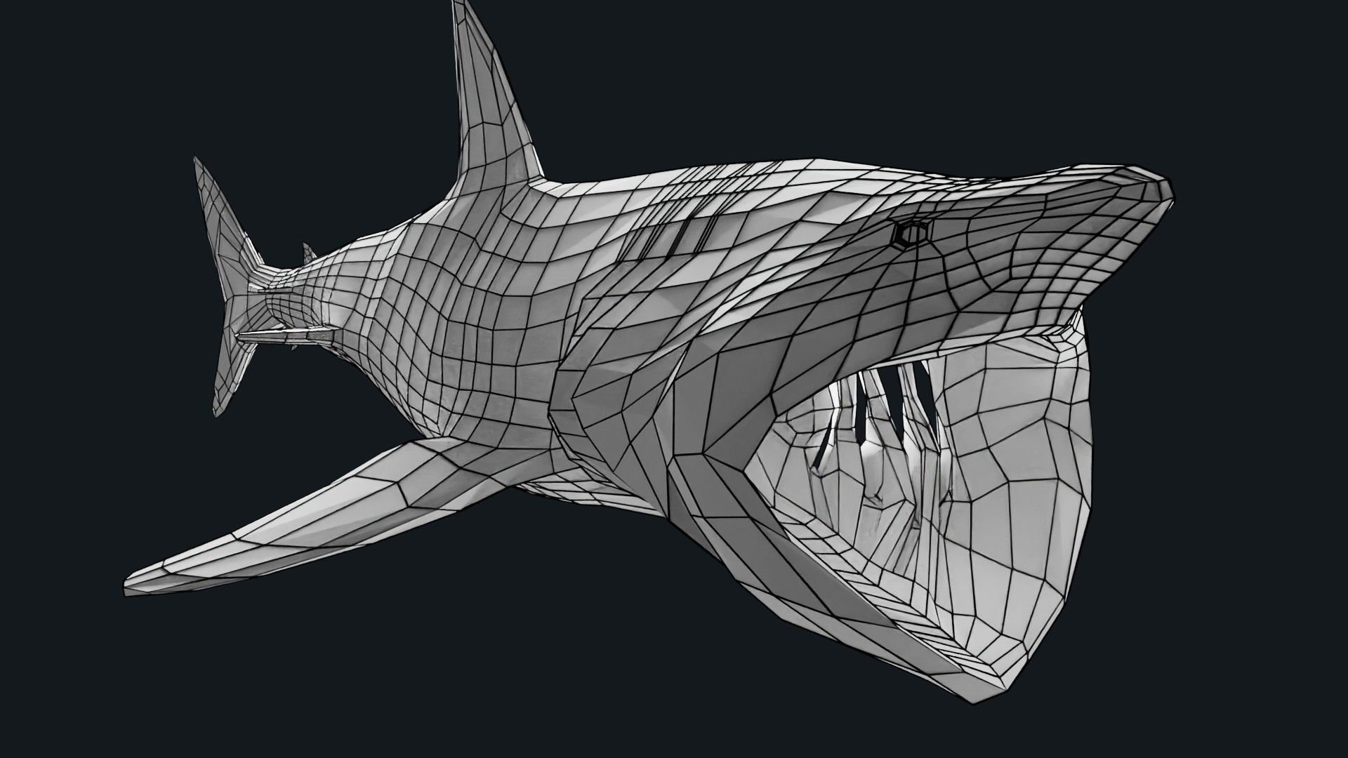 Lowpoly Basking Shark Low-poly 3D model_2