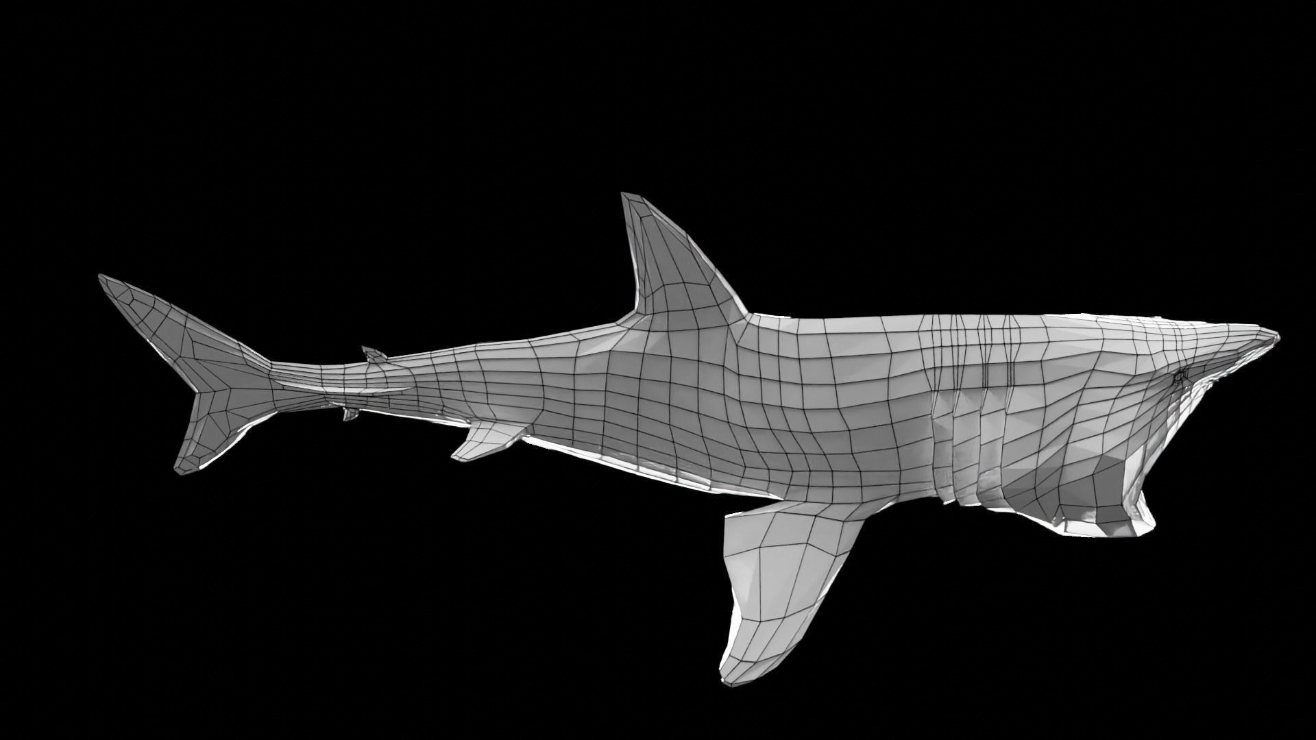 Lowpoly Basking Shark Low-poly 3D model_12