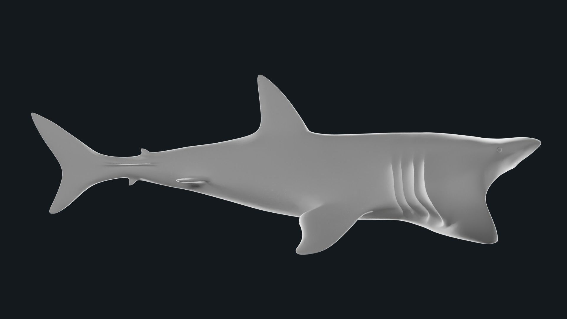 Lowpoly Basking Shark Low-poly 3D model_4