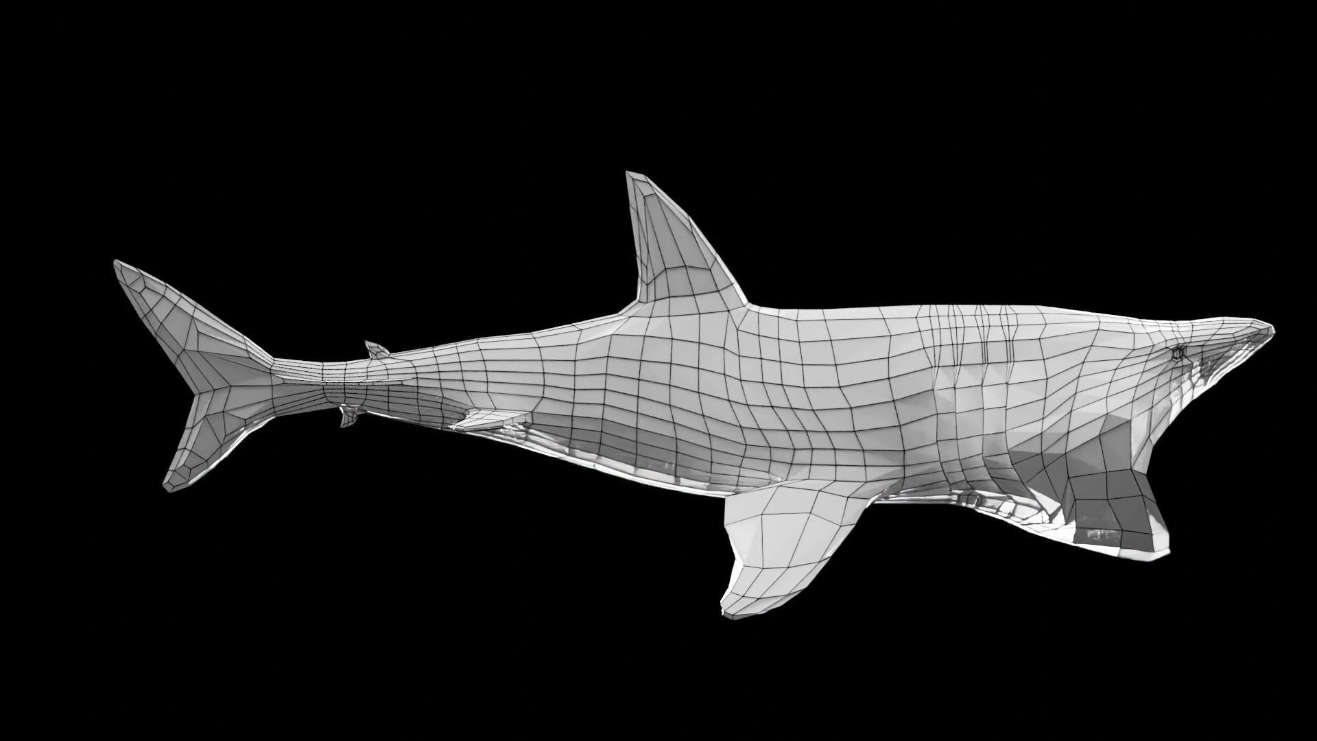Lowpoly Basking Shark Low-poly 3D model_13
