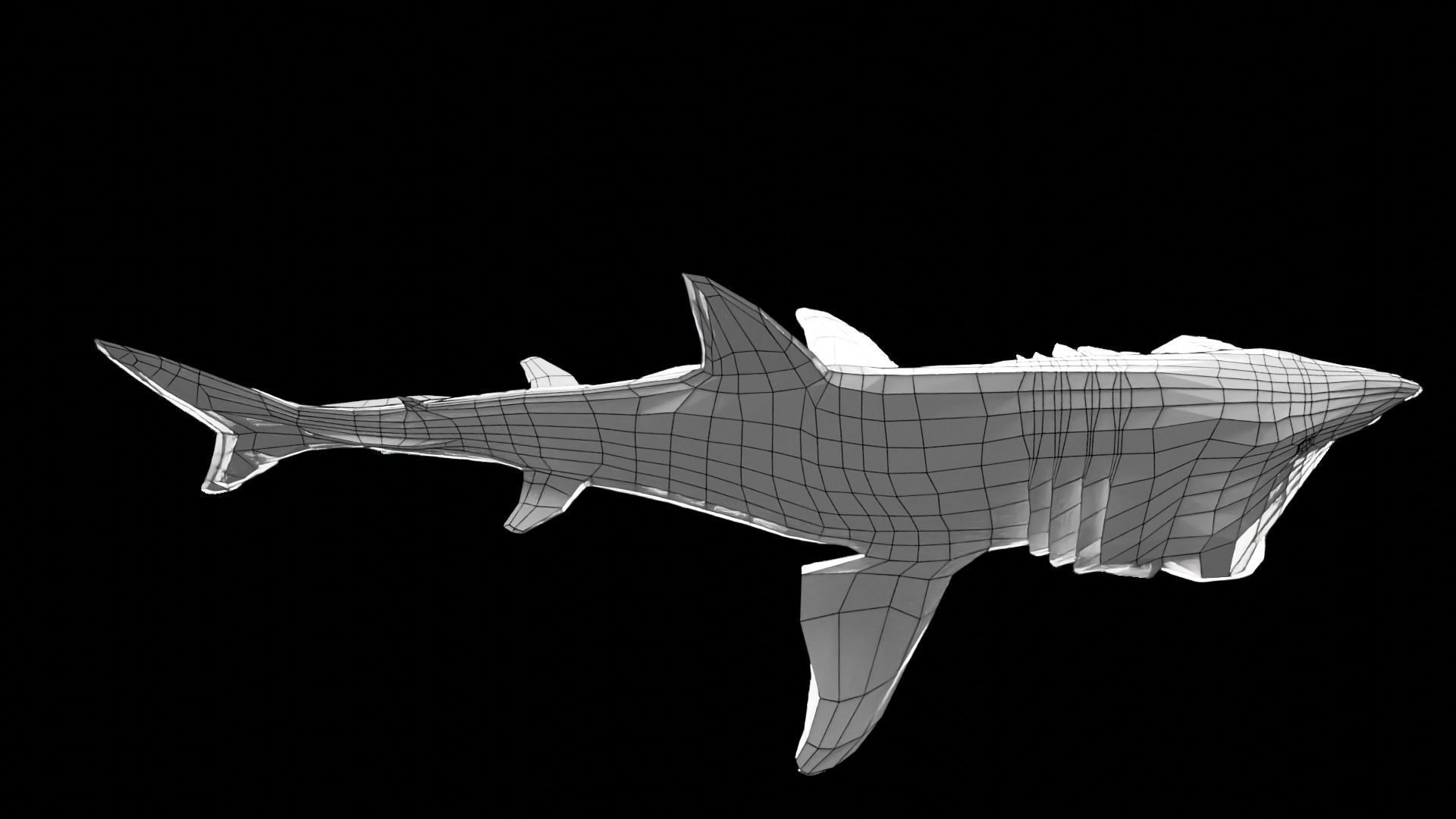 Lowpoly Basking Shark Low-poly 3D model_9