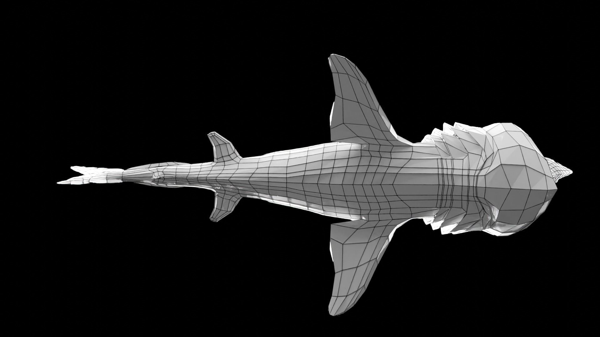 Lowpoly Basking Shark Low-poly 3D model_23