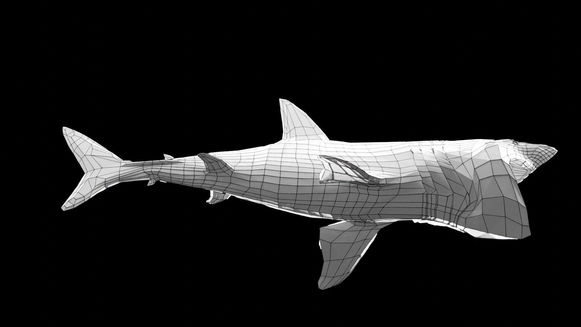 Lowpoly Basking Shark Low-poly 3D model_19