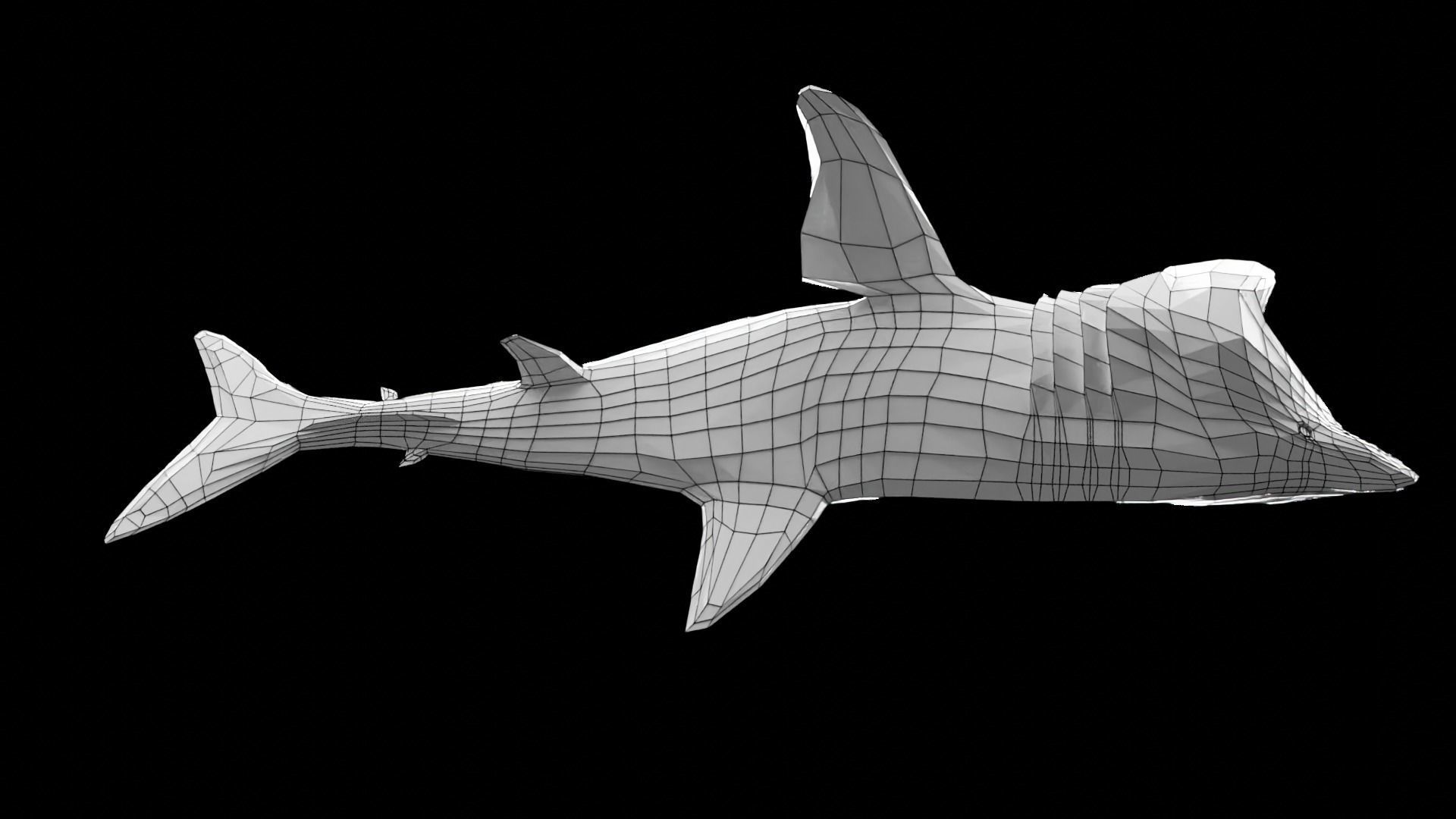 Lowpoly Basking Shark Low-poly 3D model_11